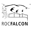 Roc Falcon